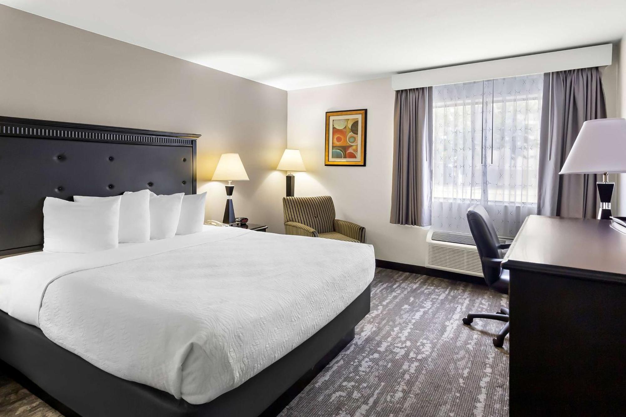 King Room with Bath Tub - Disability Access/Pet Friendly,1614787656:JPEG